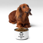 Pet bowl - Image 3